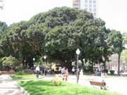 Canalejas Park