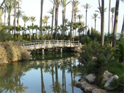 El Palmeral
