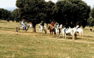 Sports and Nature in Salamanca