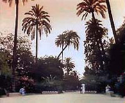 Murillo Park
