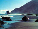 Roque Beach
