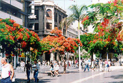 Plaza de la Candelaria