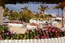 Puerto de la Cruz - Teneriffa