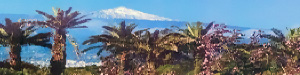 Garden of Tenerife
