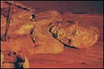 Guanche Mummy