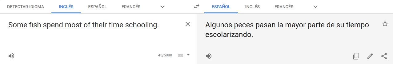 what-do-you-eat-for-breakfast-in-spanish-google-translate-kcpc