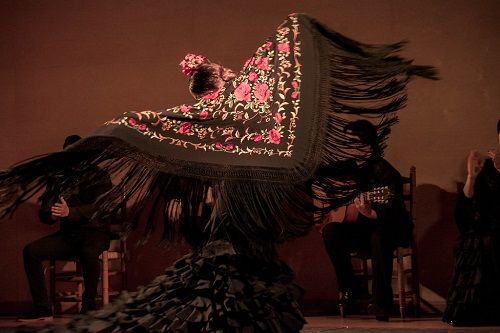 Flamenca bailando