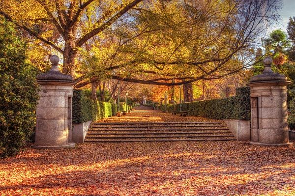 Madrid parks