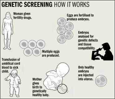 how do genetics work when having a baby