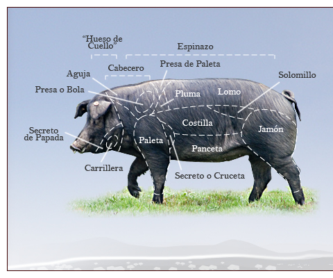 Spanish Iberian ham