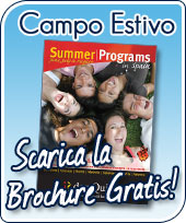 Free don Quijote Brochure