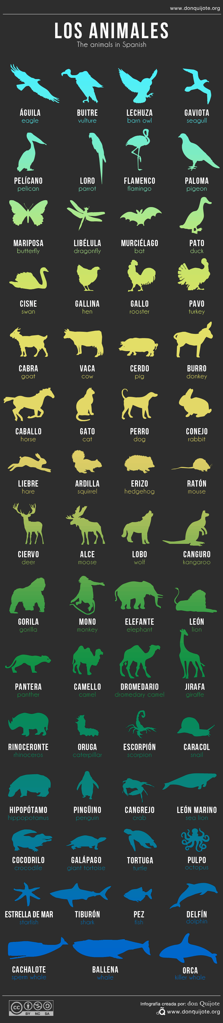 Los Animales: Animal Names in Spanish - don Quijote's Spanish Blog