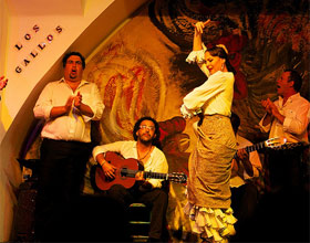 Flamenco Show in Spain