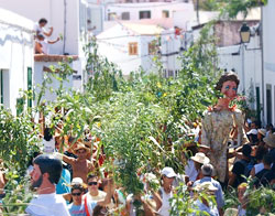 Fiesta de la Rama