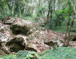 Serinyà Prehistoric Cave Park