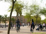 La Barceloneta