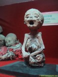 Mummies museum of Guanajuato