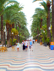 Spanish in Alicante
