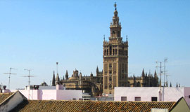 The cathedral and La Giralda