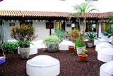 don Quijote Tenerife school