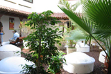 don Quijote Tenerife school