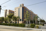 don Quijote Valencia school