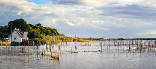 La Albufera - The Mediterranean Coast of Spain The Albufera in Valencia