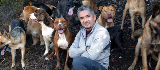 cesarmillan.jpg