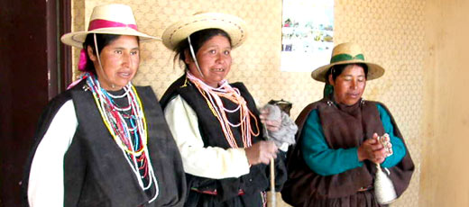 Chilean Society Chilean Society