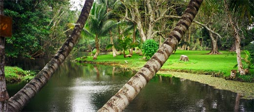 Cuban Parks Parks in Cuba