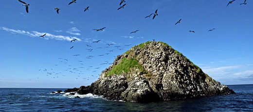 Gorgona National Natural Park Gorgona Island
