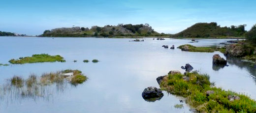 Santoña, Victoria and Joyel Marshes Natural Park Santoña, Victoria and Joyel Marshes Natural Park