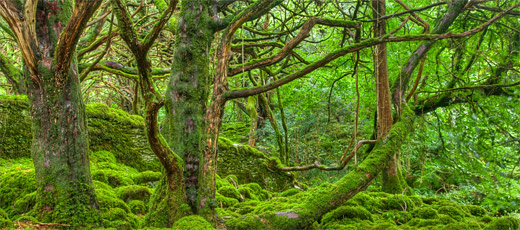 Spanish Natural Parks Parks in Spain