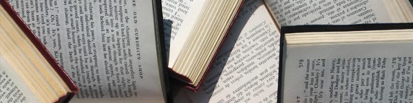 Spaanse Literatuur: gratis boeken, gedichten, romans en geschiedenis Spaanse Literatuur