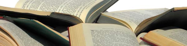 Vocabulario en Español Diccionarios en Español