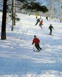 Ski