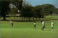 Golf in Granada
