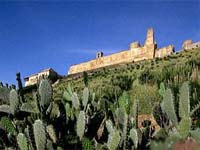 Carmona castle walls